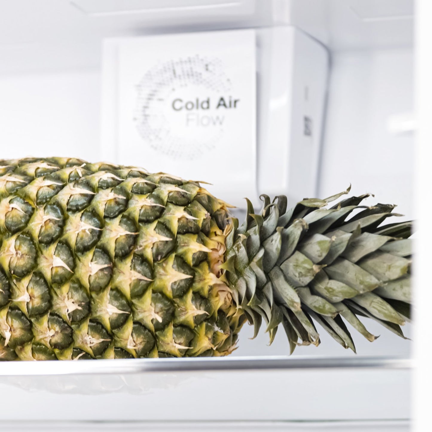 Frigorífico Combi Integrable Evvo Fi60