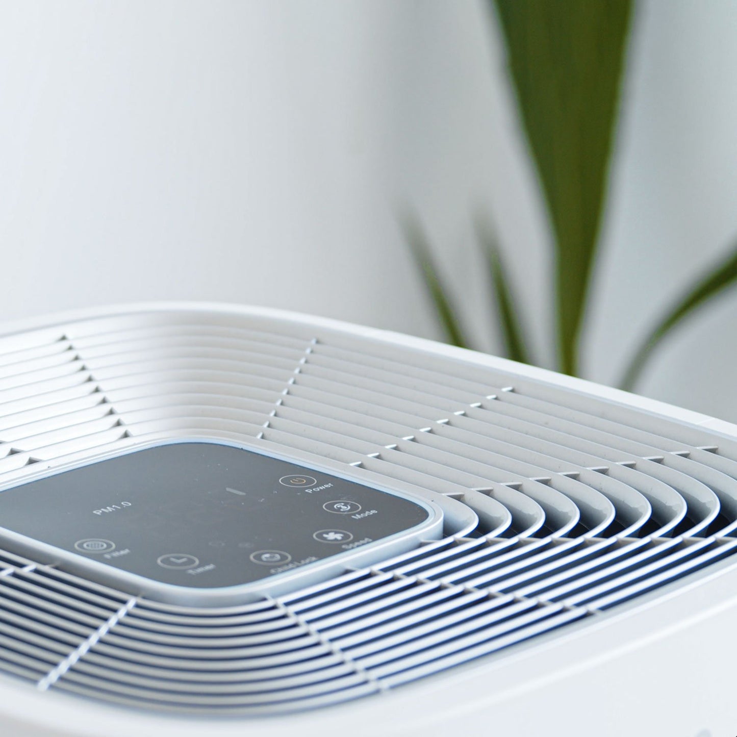 Purificador de aire EVVO P100